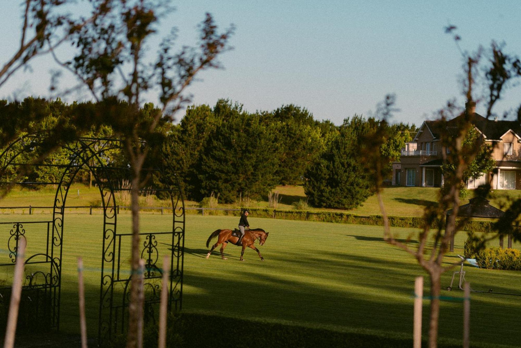Haras Santa Maria Del Mar Hotel Mar del Plata Eksteriør billede